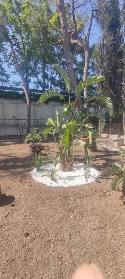 Villa Rospi Bari Zewnętrze zdjęcie