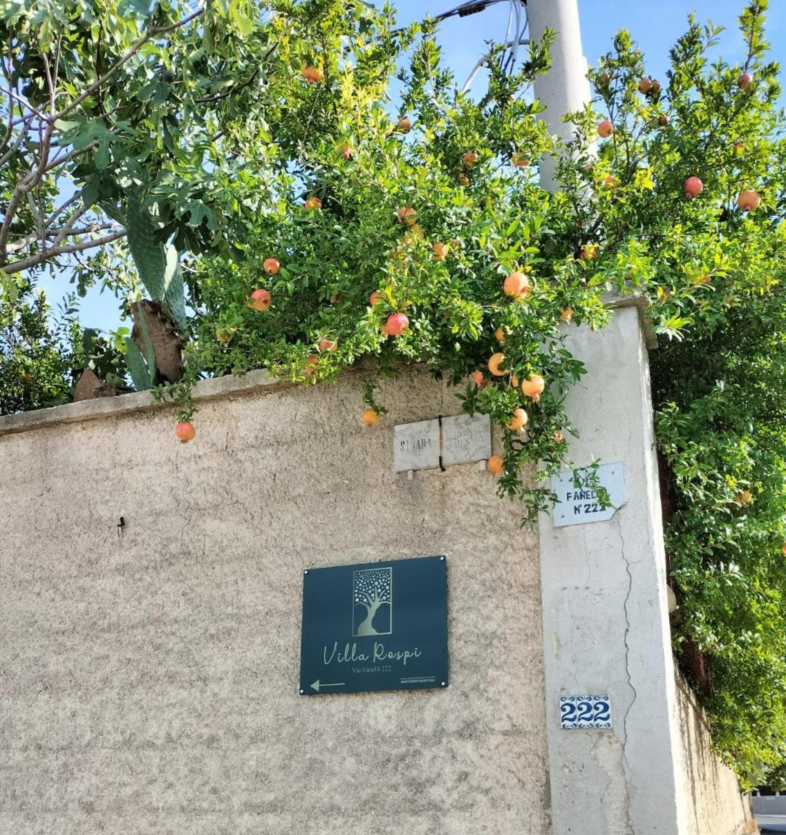 Villa Rospi Bari Zewnętrze zdjęcie